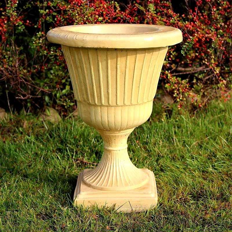 Donica Dalia
