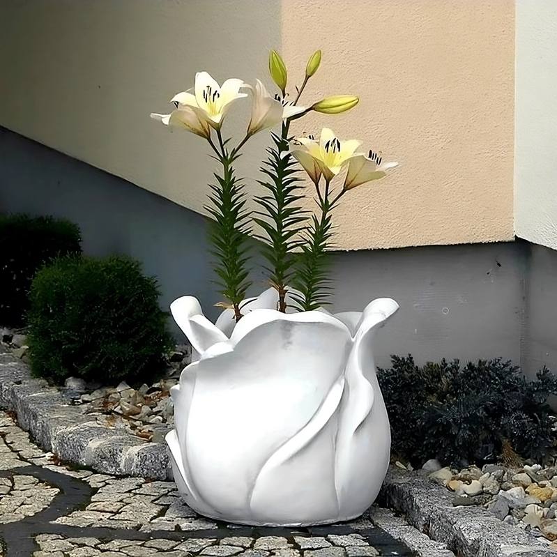 Donica Tulipan